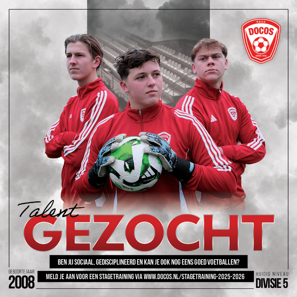 Werving 2008